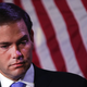 Illustration for article titled Report: Marco Rubio Advisor Pushed Nikki Haley Affair Smear